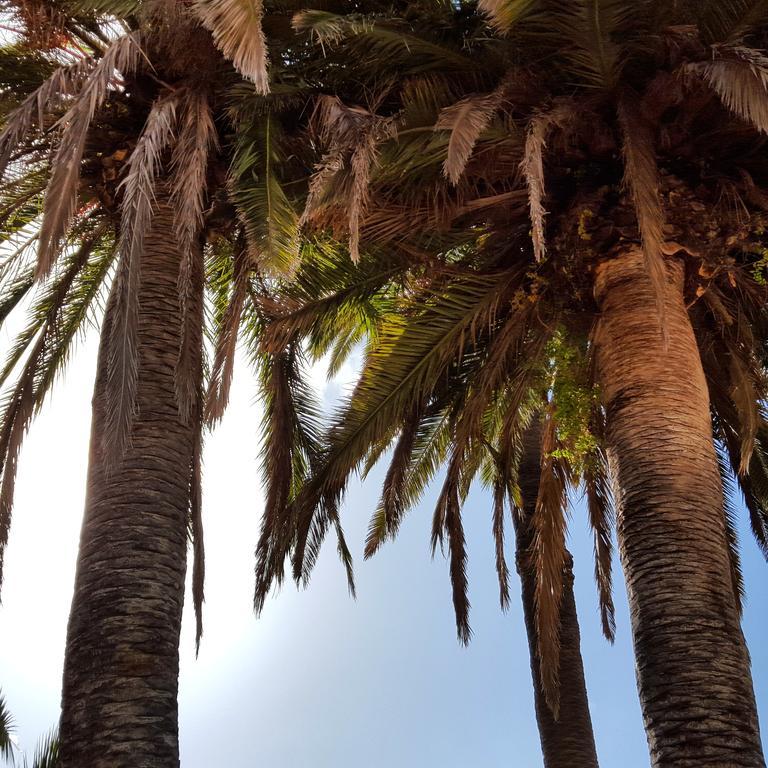 Casa Rural El Traspatio Granadilla De Abona Εξωτερικό φωτογραφία
