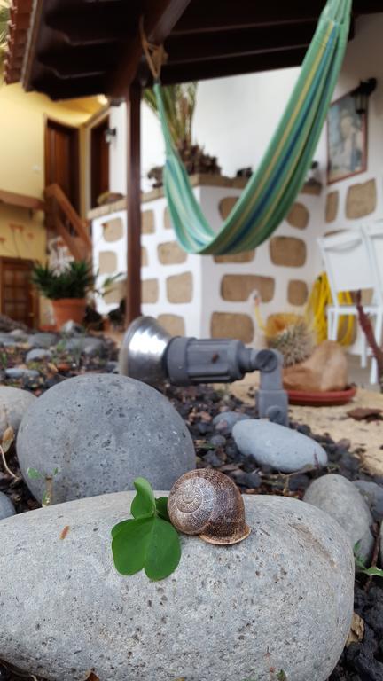 Casa Rural El Traspatio Granadilla De Abona Εξωτερικό φωτογραφία