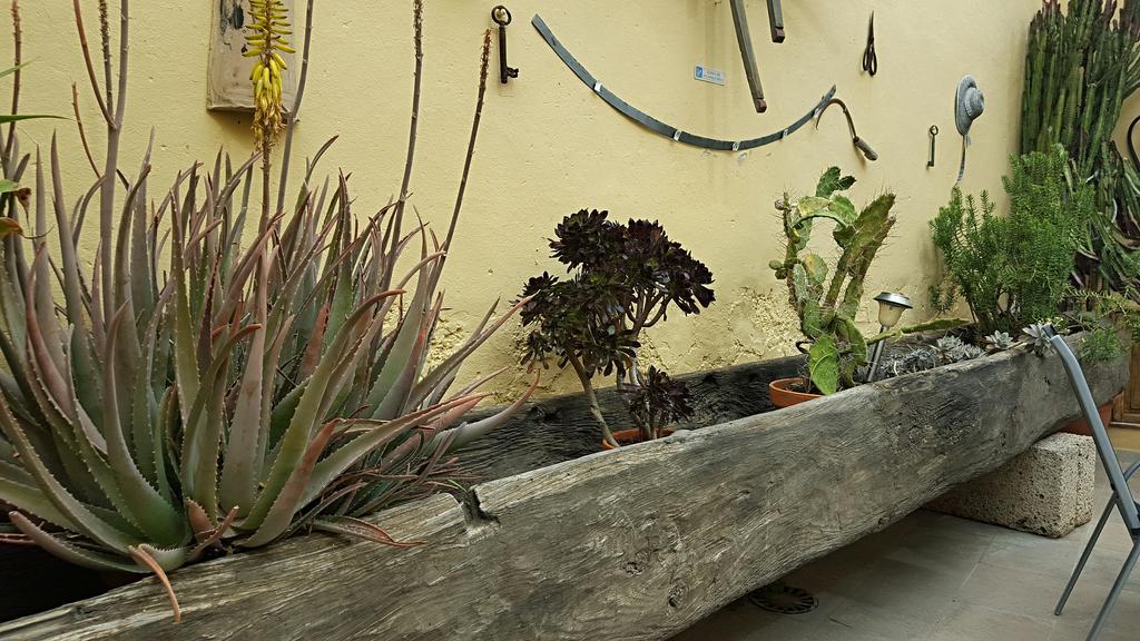Casa Rural El Traspatio Granadilla De Abona Εξωτερικό φωτογραφία